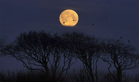 Super Snow Moon Five Of The Best Photographs Of The Biggest