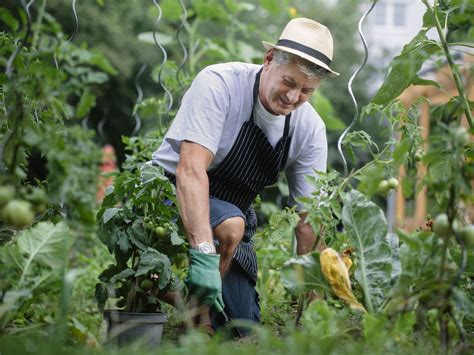 Frugal Gardening - Men Of The West