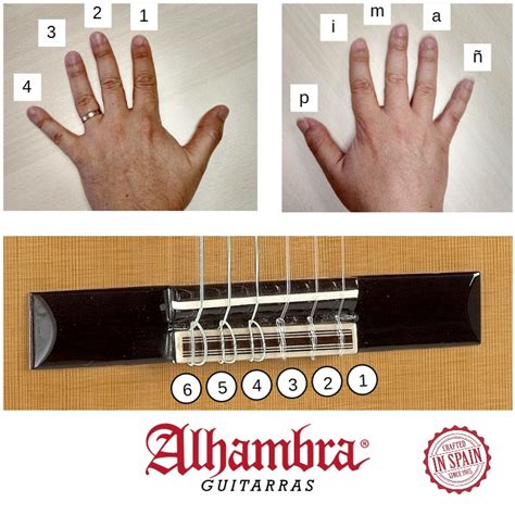 Aprender Guitarra La Digitación Guitarras Alhambra