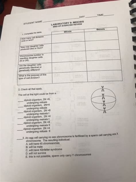 Meiosis Diary Of An Alevel Student