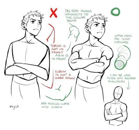Crossed Arms Ref From Instagram Figure Drawing Reference Anatomy Reference Art Reference