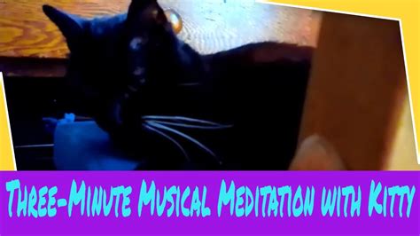 Three Minute Musical Meditation With Kitty Youtube