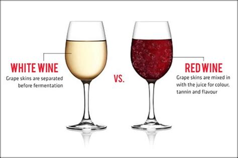 The Difference Between Red Wine And White Wine A1 Wine And Spirit