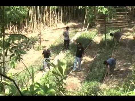 Upper marikina river basin protected landscape (nipas proclamation no. The Rehabilitation of the Upper Marikina river basin ...