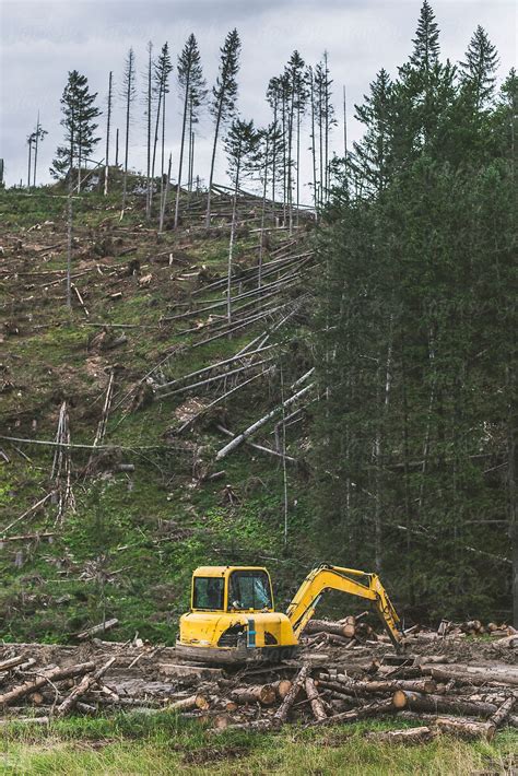Machine Cutting Down Trees By Stocksy Contributor Javier Márquez