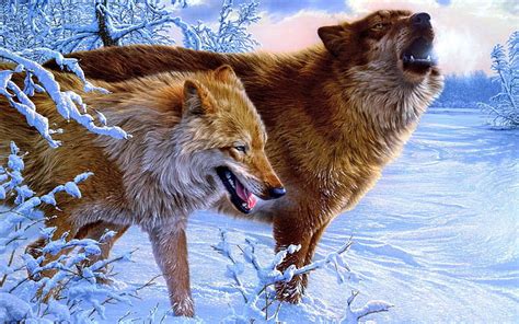 Hd Wallpaper Two White And Brown Wolves Love Wolf Predators Kiss