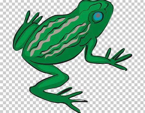 Frog Legs Drawing PNG Clipart Amphibian Art Artwork Cartoon