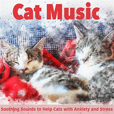 Amazon Music Cat Music Dreams Relaxmycat And Relax My Kittenのcat