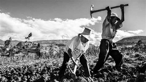 Chile A 50 Años De La Reforma Agraria La Tinta