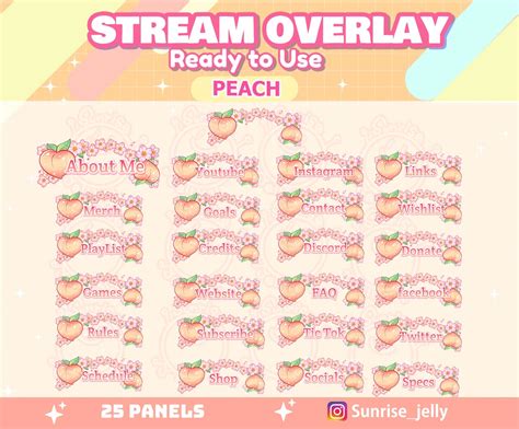 Twitch Peach Stream Overlay Package Streamer Graphics Etsy