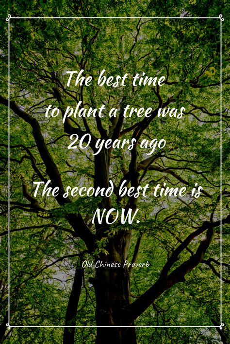 Plant A Tree Quotes Inspiration
