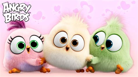 Angry Birds Every Adorable Hatchlings Moment Youtube