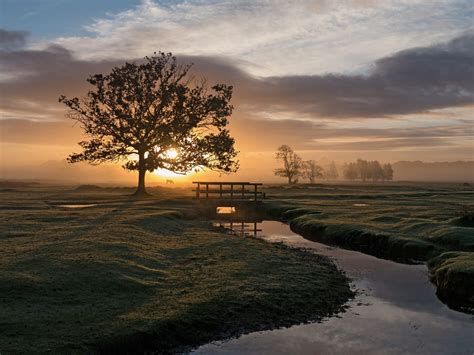 Sunrise At Longwater Lawn New Forest National Park Hampshire England