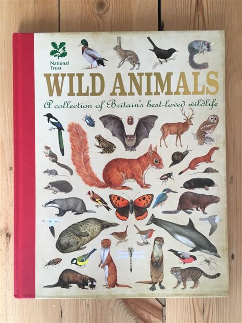 We Love Books About Wildlife A Beautiful Childhood