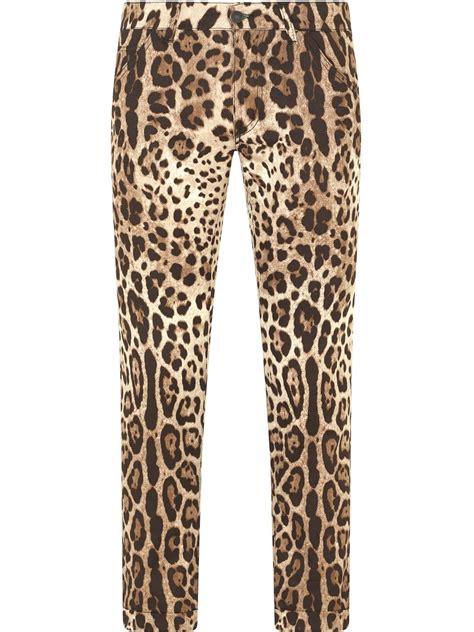 dolce and gabbana leopard print skinny jeans farfetch