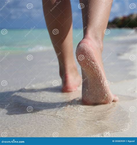 Female Feet On Tropical Sand Beach Legs Walking Stock Image Image Of Person Journey 35583939
