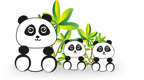 Panda Bear En Voie De Image Gratuite Sur Pixabay