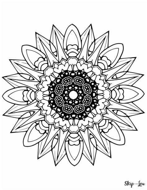 Gambar Sketsa Bunga Matahari Bunga Cantik Dengan Warna