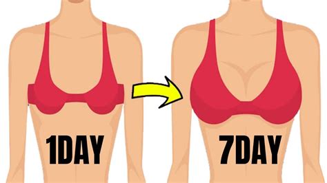 How To Increase Breast Size 5 Best Exercises In 7 Days Increase Your Breasts Size 100