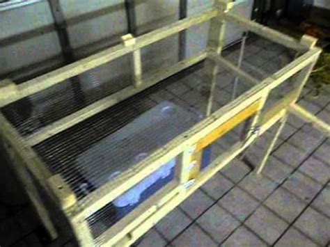 Cage for quails unfortunately, sold for parrots, canaries, the cells will not work. Homemade mobile quail cage pen 4'x2'x13" with egg catcher. - YouTube