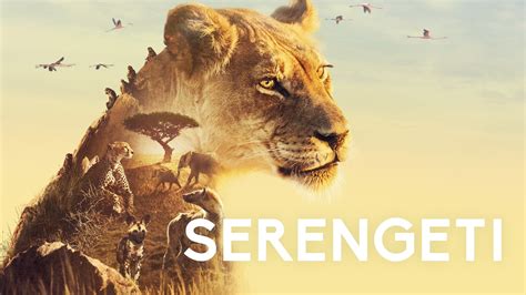 serengeti 2019 cast and crew trivia quotes photos news and videos famousfix