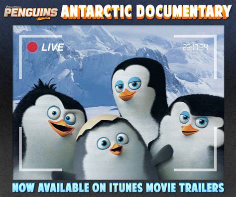 The movie event that will blow their cover nov. ฮาไปกับเพนกวินจอมป่วน ในสารคดีพิเศษ Penguins Antarctic
