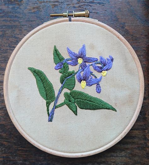 How To Embroider A Flower · How To Embroider Art · Needlework On Cut