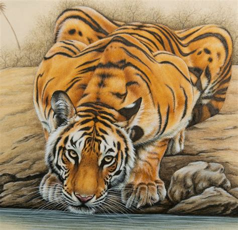 The Great Bengal Tiger Indian Miniature Painting Wild Art For Etsy
