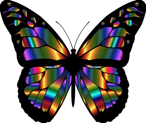 Butterfly Leaf Symmetry Png Clipart Royalty Free Svg