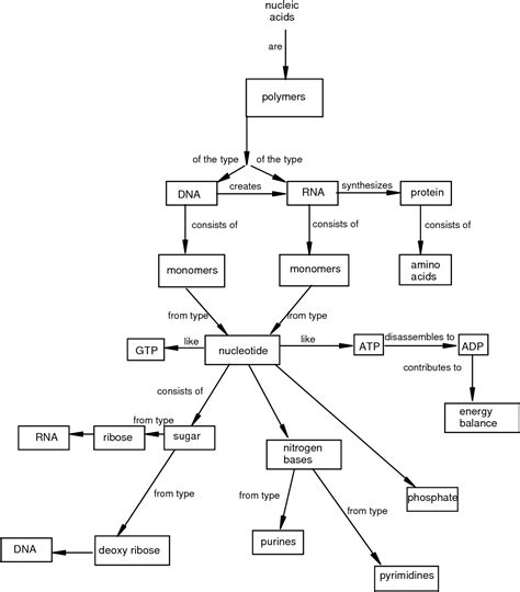 Pdf Using The Concept Map Technique In Teaching Introductory Cell