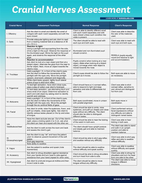 Cranial Nerves Chart Assessment Cheat Sheet Nurseslabs Best