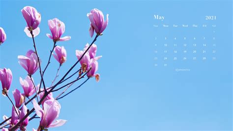 Free May 2021 Calendar Wallpapers Desktop And Mobile