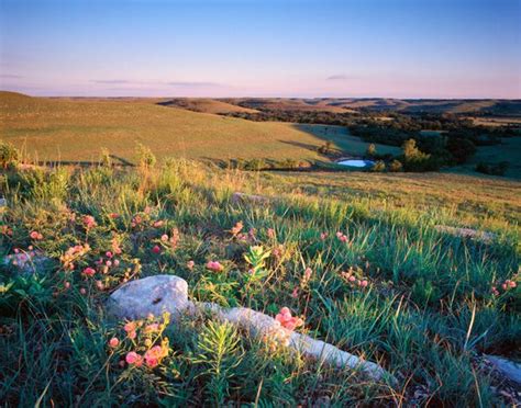 15 Best Kansas Landscape Konza Prairie Images On Pinterest Kansas