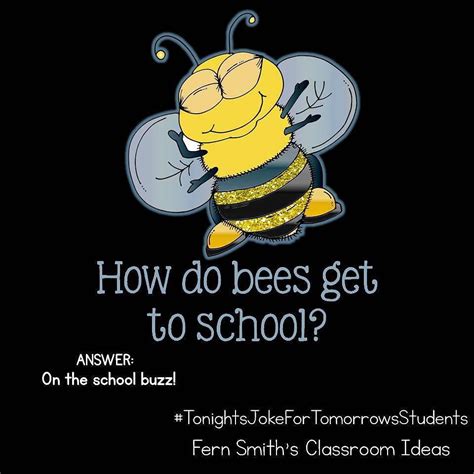 Tonights Joke For Tomorrows Students How Do Bees Get To School On