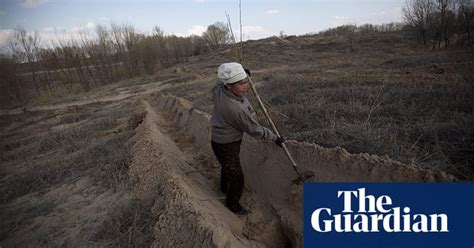 Desertification In Inner Mongolia China In Pictures Global