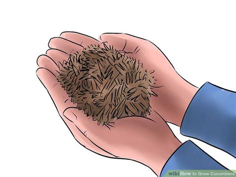 Then, plant your cucumbers by pushing a group of 3 to 4 cucumber seeds into about 1 inch of moist soil, making sure that the groups are about 18 to 36 inches apart. 3 Easy Ways to Grow Cucumbers (with Pictures) - wikiHow