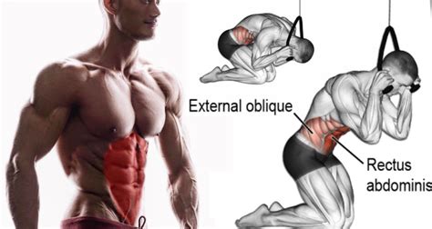 Chisel Your Upper Abs With Cable Crunches Fitness Workouts Exercises