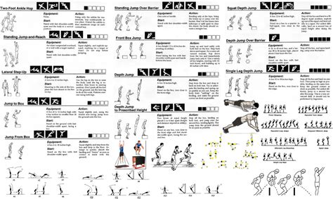 Gym Exercises For Beginners Pdf Free Exercise Chart