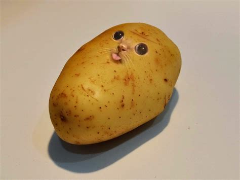I Photoshopped A Potato Rfunny