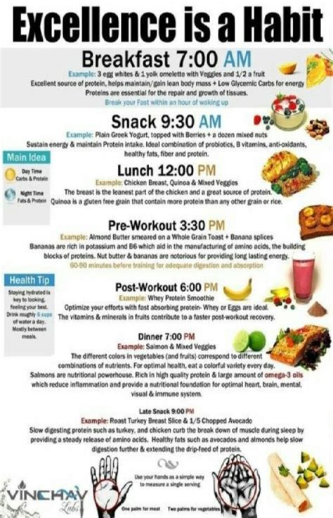 Wanna Lose Weight Follow This Daily Routine Musely
