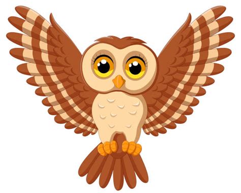 Best Owl Flying Illustrations Royalty Free Vector
