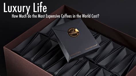 Luxury Life – How Much Do The Most Expensive Coffees In The World Cost