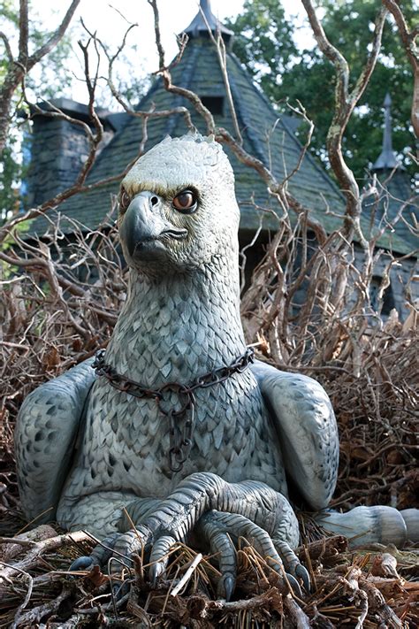 Complete Guide To Flight Of The Hippogriff At The Wizarding World Of
