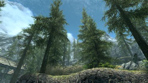 Arto Another Riverwood Tree Overhaul At Skyrim Special Edition Nexus