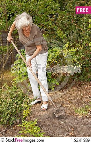 Mature Lady Gardening Free Stock Images And Photos 15341289