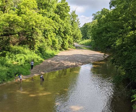 The Best Spots For Creeking In Cincinnati Sand And Water Water Play