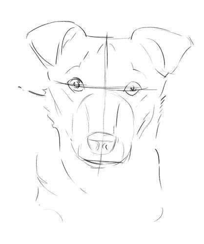 Heres How To Draw Your Dogs Portrait Using A Photograph Dog Drawing