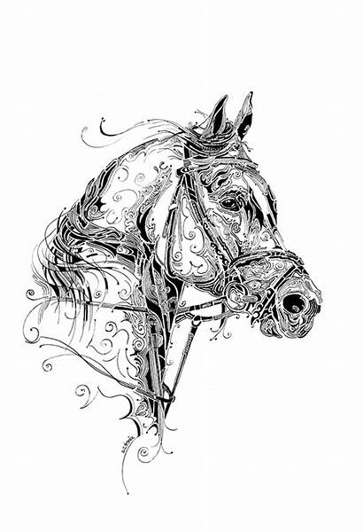 Indian Ink Behance Horse Drawings India Pen