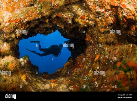 Diver In A Cave Lanai Hawaii Underwater Scuba Diving Ocean Sea
