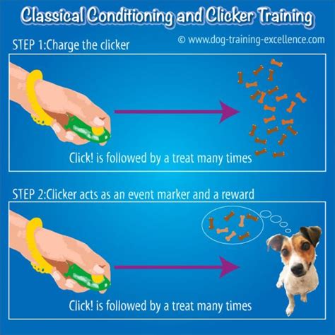 Clicker Training And Positive Reinforcement The Easy Training Method